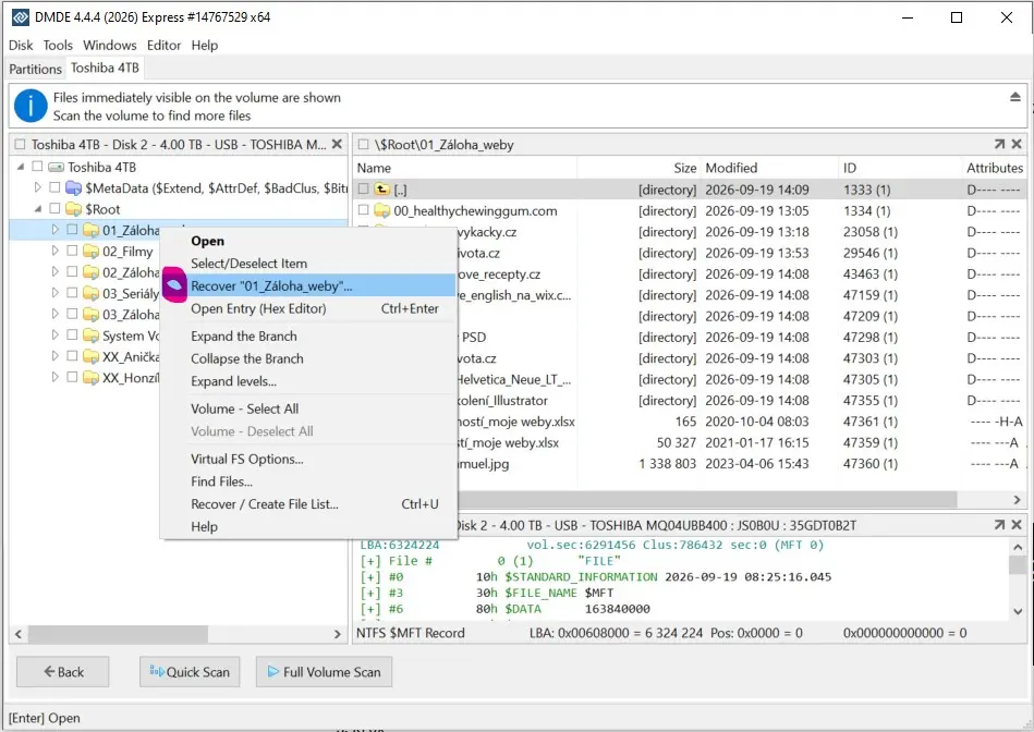 Printscreen volby funkce "Recover" v software DMDE pro obnovu dat | Pro web: radyzezivota.cz | Pro článek: Nefunkční harddisk po zapojení do TV: Jak na opravu pomocí SW a Správce disků