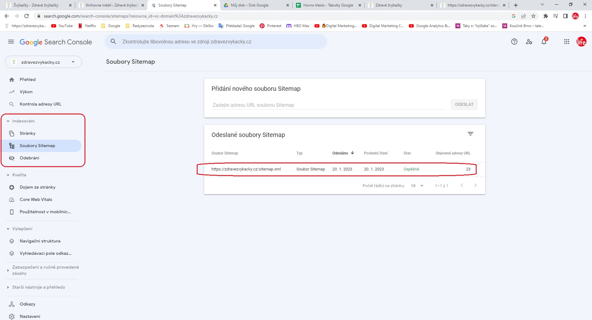 Sitemapa vložená pomocí Google Search Console | zdroj: radyzezivota.cz | Autor: Jiří Samuel